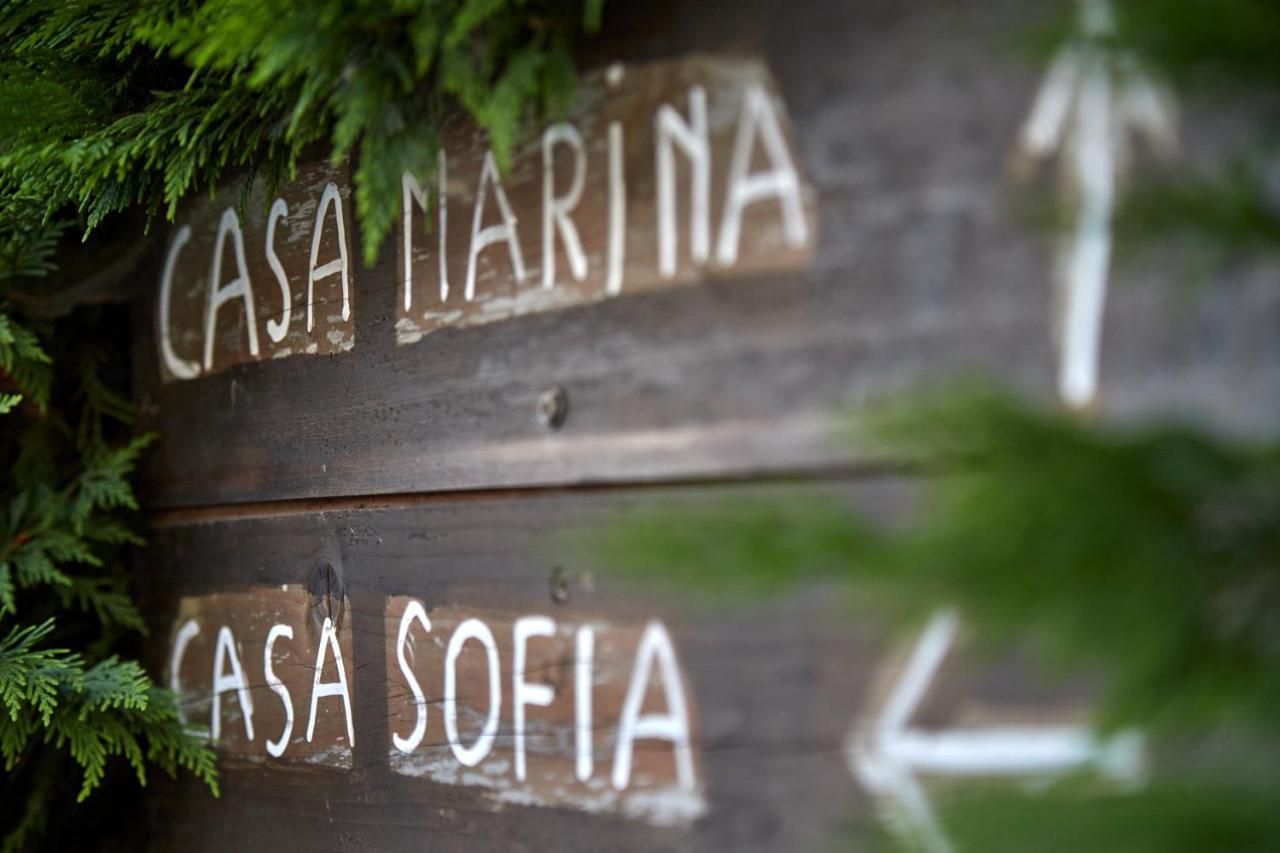 Agriturismo Da Rosy Codevigo Kültér fotó